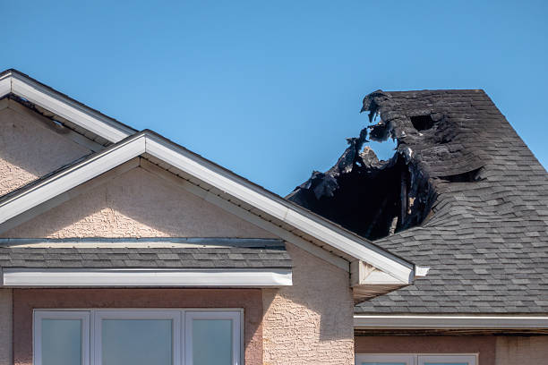 Top rated local Odor Removal specialists in Voorhees, NJ